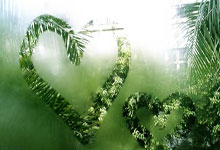 开云:竞争奥运积分 亚洲皮划艇静水锦标赛开幕