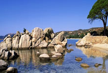 开云体育:中国绍兴将承办洛杉矶奥运会女子垒球亚洲/大洋洲区资格赛