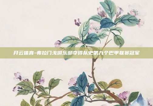 开云体育-弗拉门戈俱乐部夺得队史第九个巴甲联赛冠军